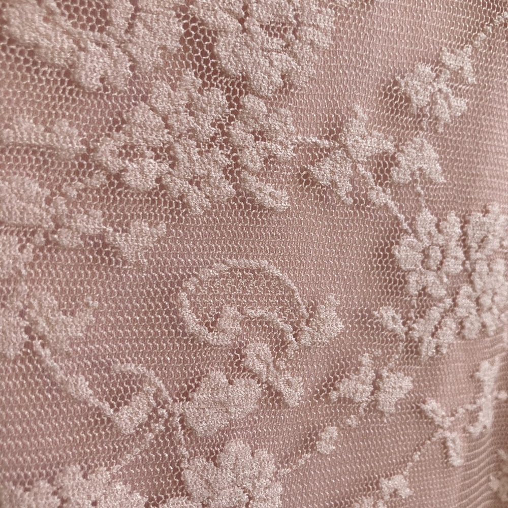 Blush Lace Minidress, Size Large, Zara - Picture 9 of 10